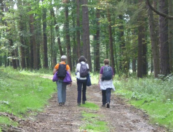 Walking in Manor Woods